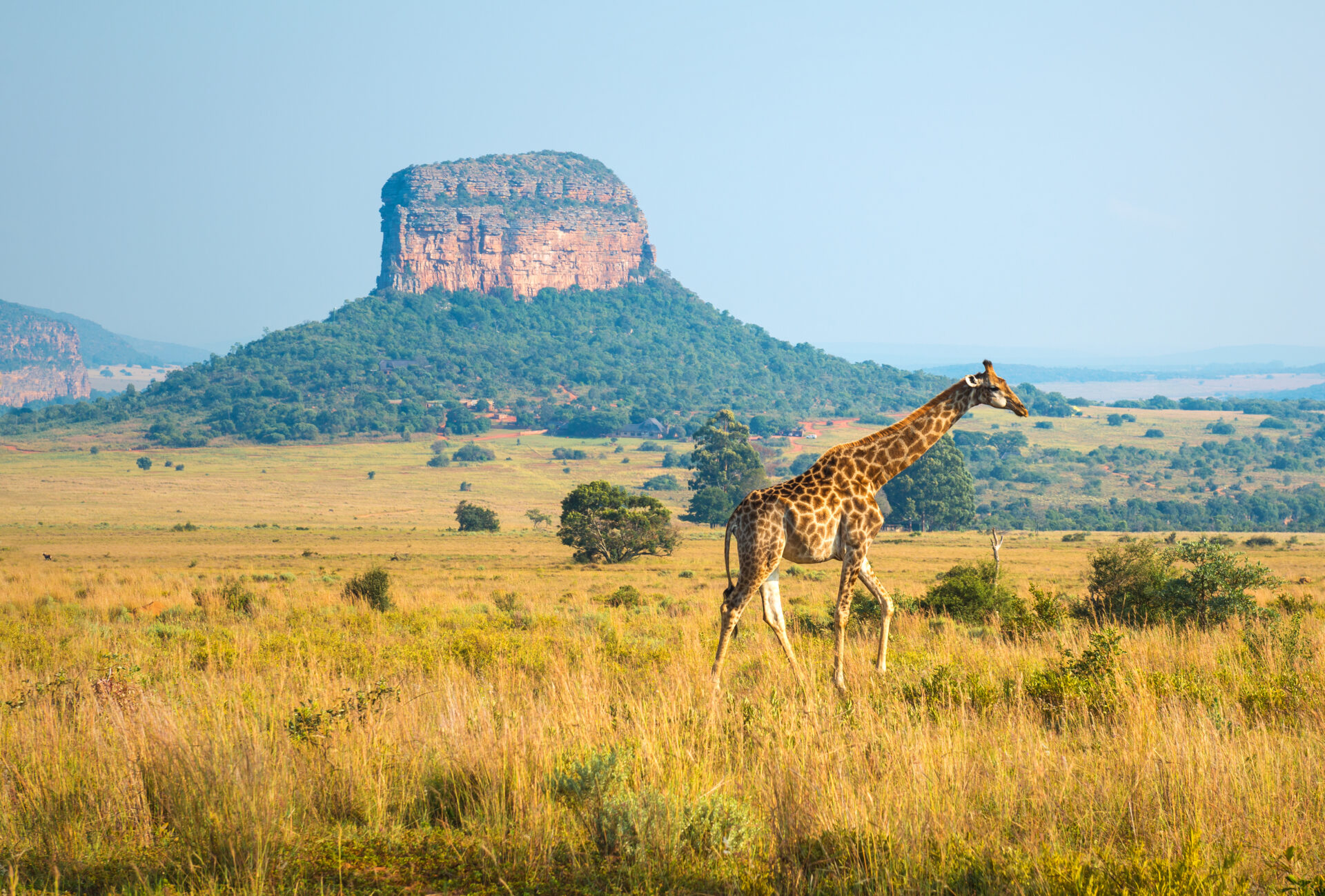 Essência da África do Sul: Aventura, Vinhos e Safáris Extraordinários